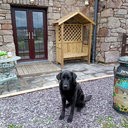 Conwy Pen Cefn Farm Holiday Абергели Екстериор снимка
