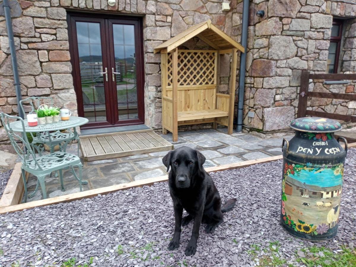 Conwy Pen Cefn Farm Holiday Абергели Екстериор снимка
